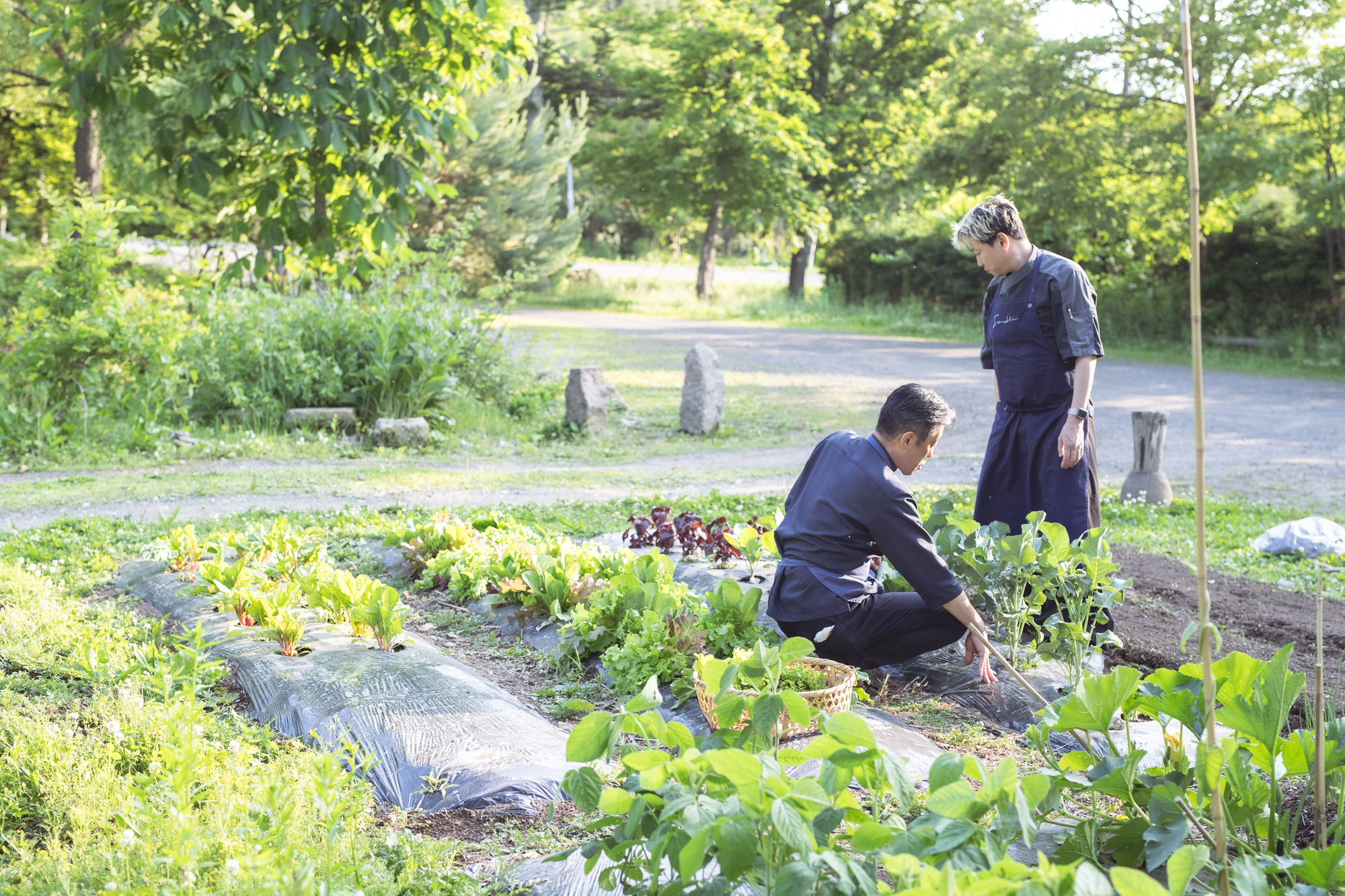 畑で育つ季節の野菜