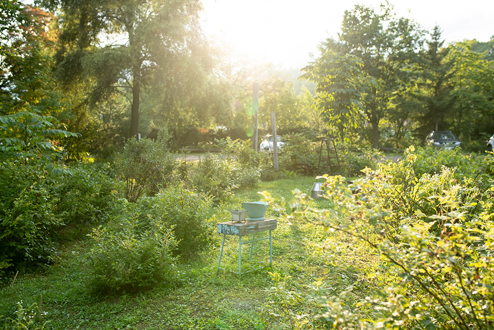 Café Good Life garden