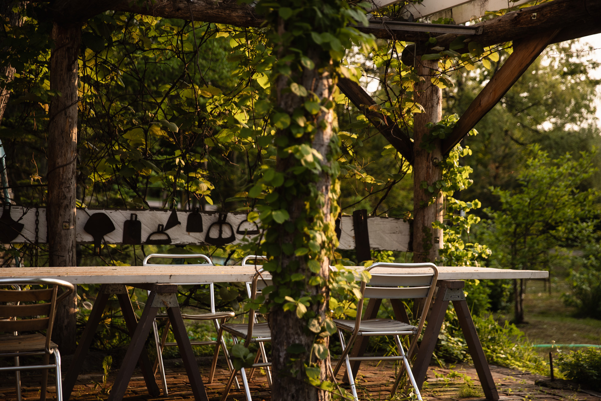 Good Life Table Lesson